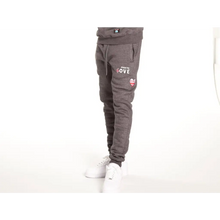 Load image into Gallery viewer, DC Love Sweatpants - sweatpants